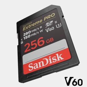 Memoria SDXC V60 256 GB de SanDisk